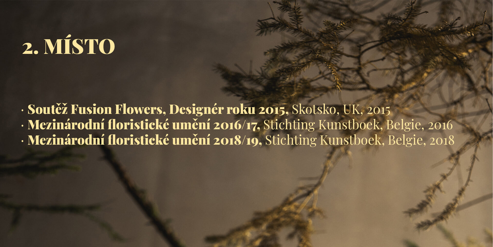 OCENĚNÍ-ČESKY-2